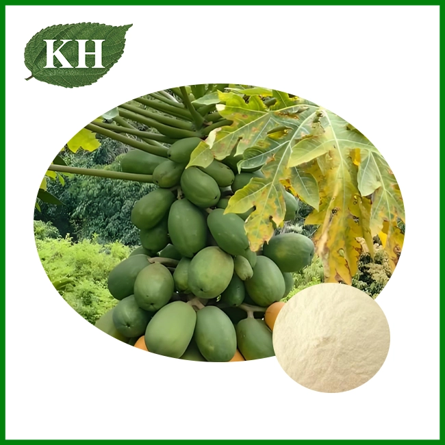 Natural Papain Natural Papain